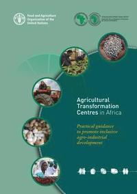 bokomslag Agricultural transformation centres in Africa