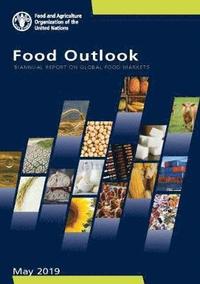 bokomslag Food outlook