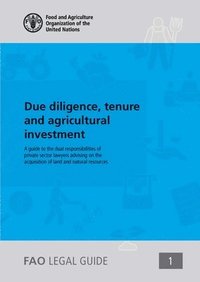 bokomslag Due diligence, tenure and agricultural investment