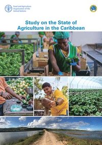 bokomslag Study on the state of agriculture in the Caribbean