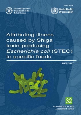 Attributing illness caused by Shiga toxin-producing Escherichia Coli (STEC) to specific foods