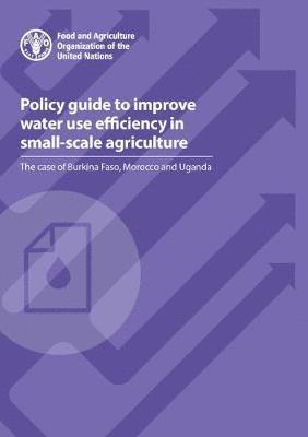 Food and Agriculture Organization, Maher Salman - Policy guide to improve water use efficiency in small-scale agriculture, Häftad