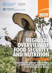 bokomslag Africa - regional overview of food security and nutrition 2019