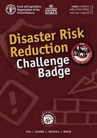 bokomslag Disaster risk reduction challenge badge