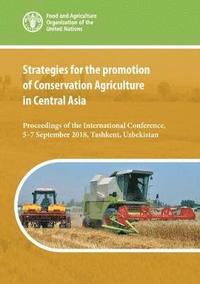 bokomslag Strategies for the promotion of conservation agriculture in Central Asia