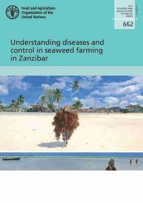 Understanding diseases and control in seaweed farming in Zanzibar 1