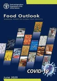 bokomslag Food outlook