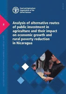 Analysis of alternative routes of public investment in agriculture and their impact on economic growth and rural poverty reduction in Nicaragua