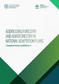 bokomslag Addressing forestry and agroforestry in national adaptation plans