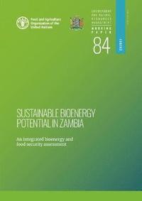 bokomslag Sustainable bioenergy potential in Zambia