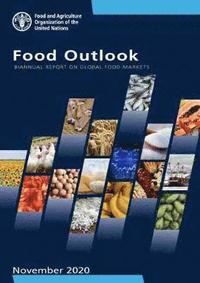 bokomslag Food outlook