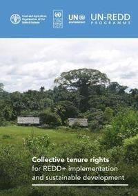 bokomslag Collective tenure rights for REDD+ implementation and sustainable development