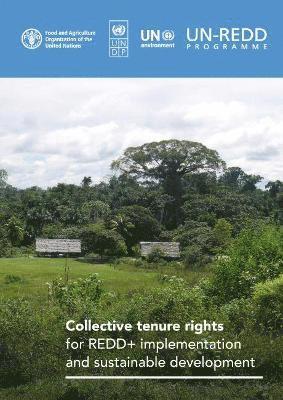 Collective tenure rights for REDD+ implementation and sustainable development 1