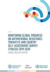 bokomslag Monitoring global progress on antimicrobial resistance