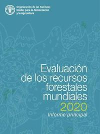 bokomslag Evaluacin de los recursos forestales mundiales 2020