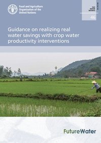 bokomslag Guidance on realizing real water savings with crop water productivity interventions