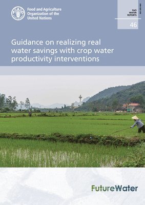 bokomslag Guidance on realizing real water savings with crop water productivity interventions