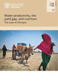 bokomslag Water productivity, the yield gap, and nutrition