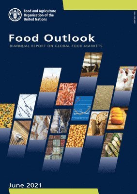 bokomslag Food outlook