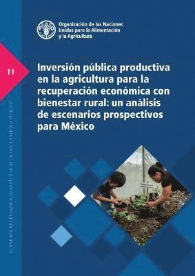 bokomslag Inversin pblica productiva en la agricultura para la recuperacin econmica con bienestar rural