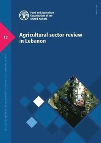 bokomslag Agricultural sector review in Lebanon