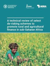 bokomslag A technical review of select de-risking schemes to promote rural and agricultural finance in sub-Saharan Africa