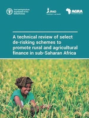 bokomslag A technical review of select de-risking schemes to promote rural and agricultural finance in sub-Saharan Africa