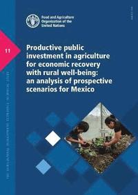 bokomslag Productive public investment in agriculture for economic recovery with rural well-being