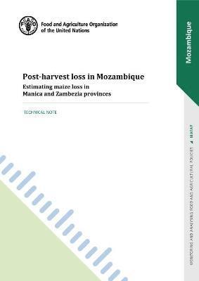 bokomslag Post-harvest loss in Mozambique