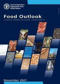 bokomslag Food outlook