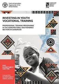 bokomslag Investing in youth vocational training