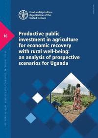 bokomslag Productive public investment in agriculture for economic recovery with rural well-being