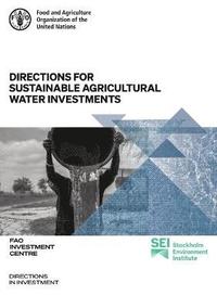 bokomslag Directions for sustainable agricultural water investments