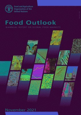 bokomslag Food outlook