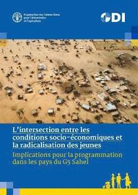 bokomslag L'intersection entre les conditions socio-conomiques et la radicalisation des jeunes