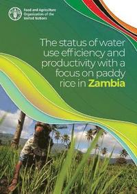bokomslag The Status of Water Use Efficiency and Productivity with a Focus on Paddy Rice in Zambia