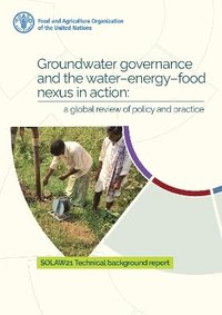 bokomslag Groundwater governance and the water-energy-food nexus in action: a global review of policy and practice