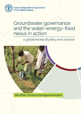 bokomslag Groundwater governance and the water-energy-food nexus in action: a global review of policy and practice