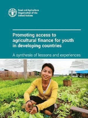 bokomslag Promoting access to agricultural finance for youth in developing countries