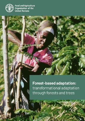 Forest-based adaptation 1