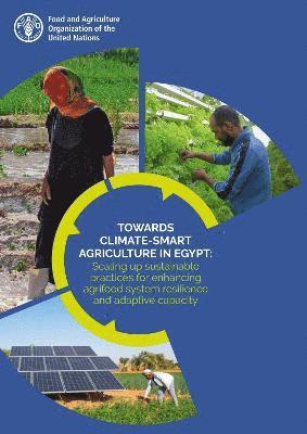 bokomslag Towards climate-smart agriculture in Egypt