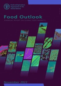 bokomslag Food Outlook