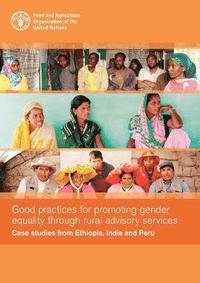 bokomslag Good practices for promoting gender equality through rural advisory services