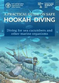 bokomslag A practical guide on safe hookah diving