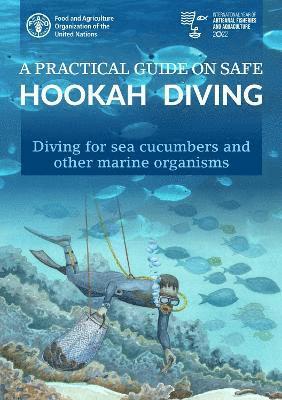 bokomslag A practical guide on safe hookah diving