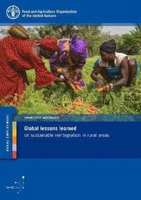 bokomslag Global lessons learned on sustainable reintegration in rural areas