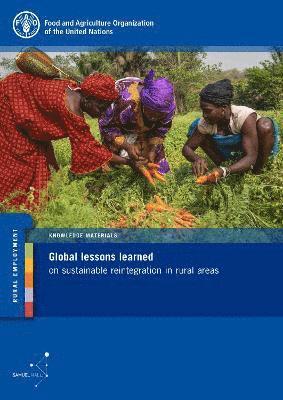 bokomslag Global lessons learned on sustainable reintegration in rural areas