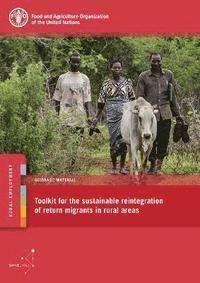 bokomslag Toolkit for the sustainable reintegration of return migrants in rural areas