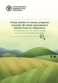 bokomslag Using metrics to assess progress towards the Paris Agreement's Global Goal on Adaptation