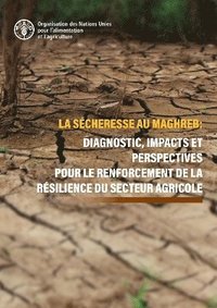 bokomslag La scheresse au Maghreb